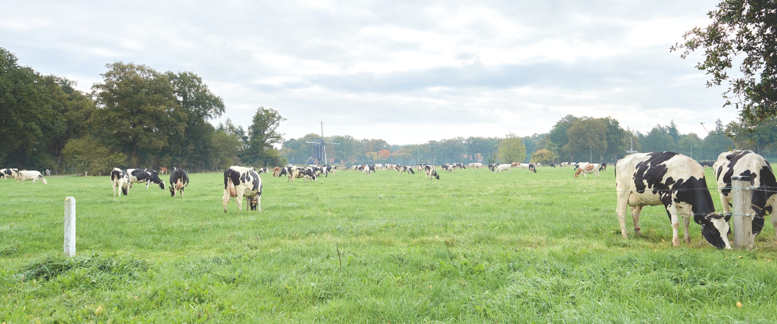 Gebiedsprocessen1_Lander-advies